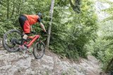 Eine Person fährt auf einem E-Bike einen felsigen Weg im Wald hinab.