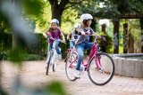 Drei Kinder fahren in einem Park Fahrrad.