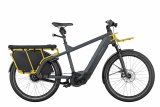 E-Bike mit längerem Gepäckträger zum Personentransport.