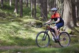 Mountainbiker im Wald