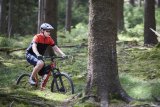 Mountainbiker im Wald