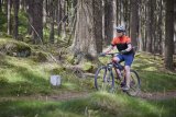 Mountainbiker im Wald